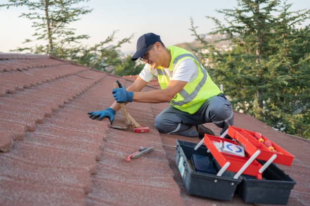 Professional Roofing Contractor in Middle Valley, TN